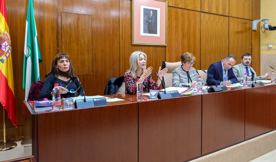 Patricia Del Pozo durante su comparecencia en la Comisión de Cultura y Patrimonio Histórico del Parlamento andaluz.
