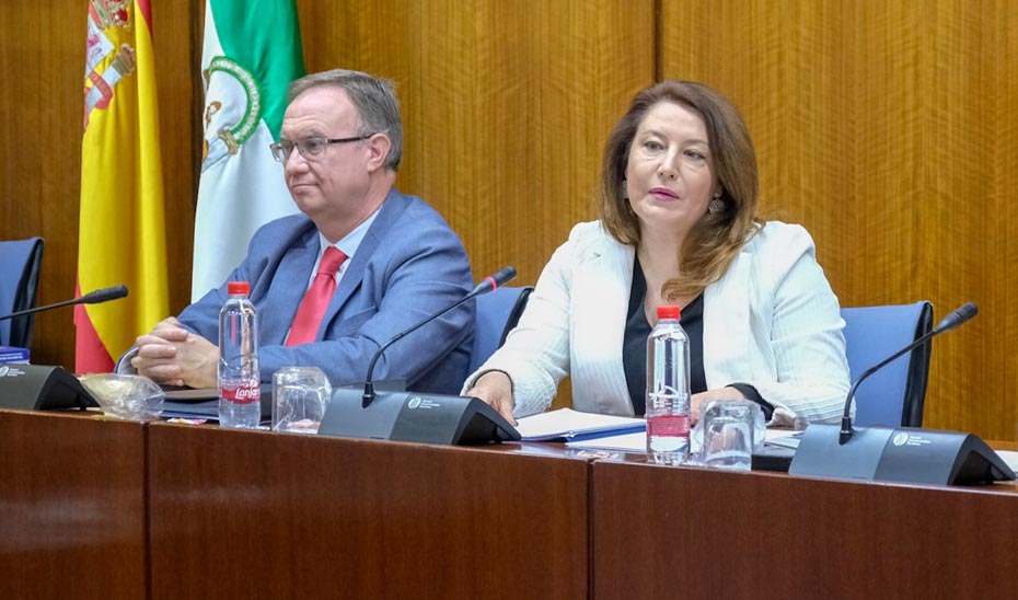 La consejera de Agricultura, Ganadería, Pesca y Desarrollo Sostenible, Carmen Crespo, en su primera comparecencia en comisión parlamentaria.