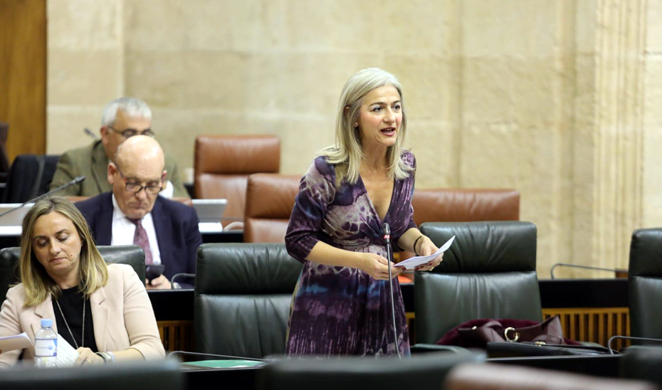 La consejera de Cultura y Patrimonio Histórico, Patricia del Pozo, durante el pleno del Parlamento andaluz.