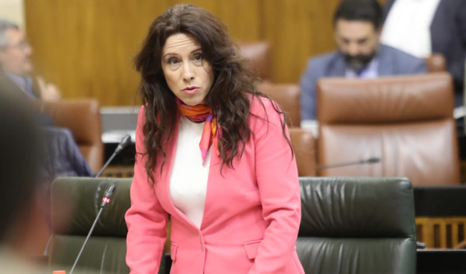 Rocío Ruiz, en el Parlamento. 