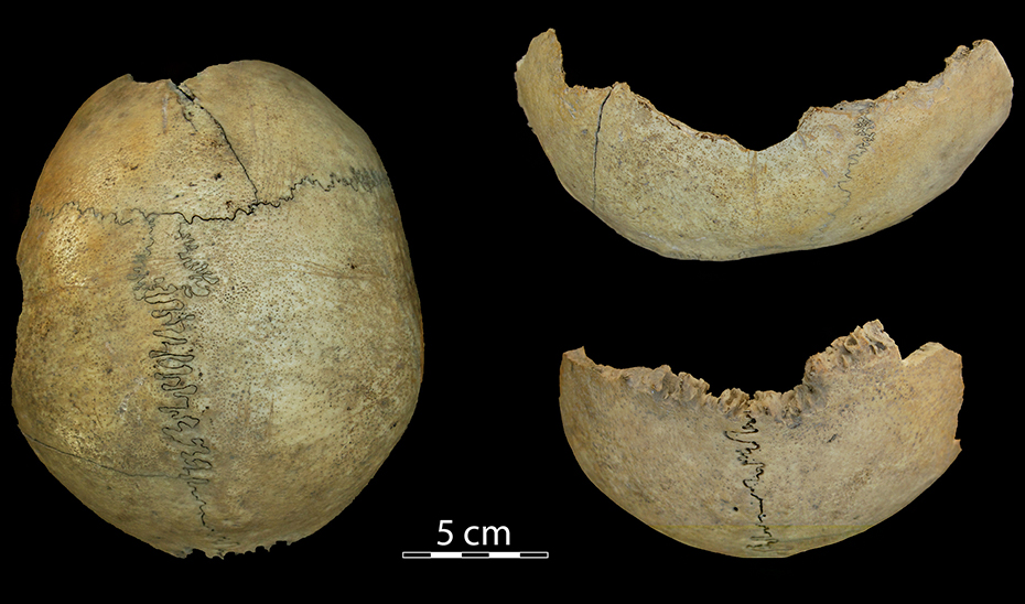 El \u0027cráneo copa\u0027 hallado durante las excavaciones arqueológicas en Antequera.