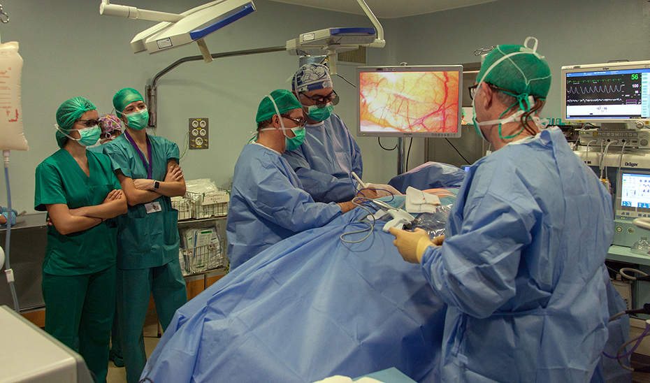 Intervención de un trasplante de riñón en el Hospital Virgen del Rocío de Sevilla.