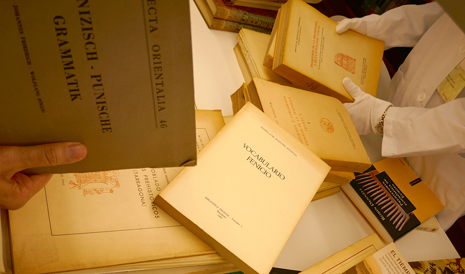 Algunos de los libros sobre la cultura fenicia que ha recibido el museo.