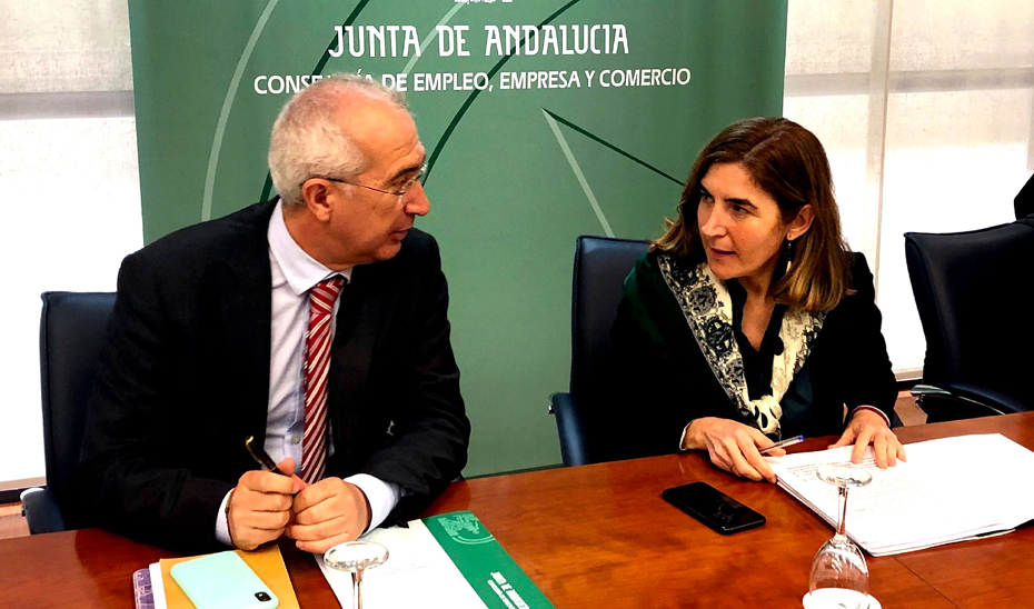 La consejera de Empleo, Formación y Trabajo Autónomo, Rocío Blanco, ha presidido su primera reunión de la comisión permanente del Consejo Andaluz de Formación Profesional.