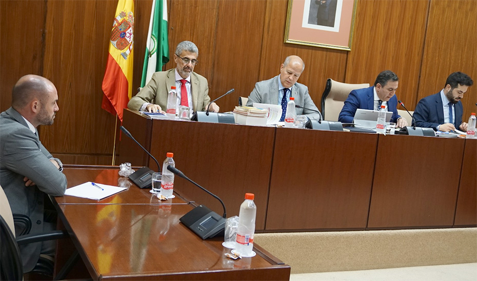 El consejero de Educación y Deporte, Javier Imbroda, durante la comisión.