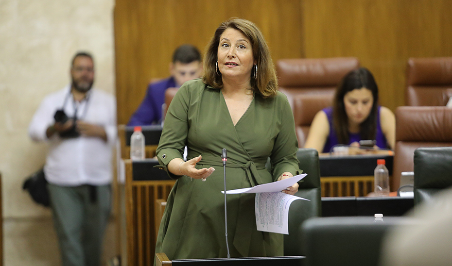 La consejera Carmen Crespo en un momento de la sesión plenaria.