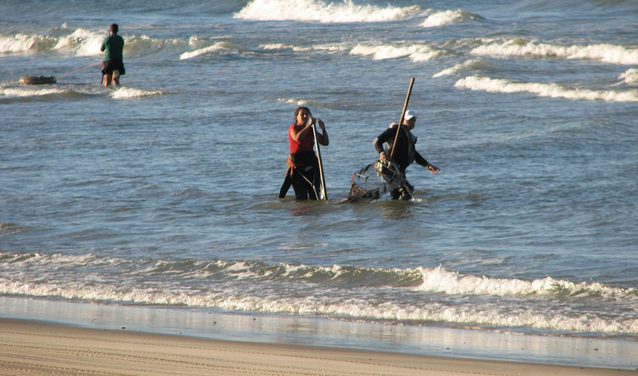 Mariscadores en plena faena en las paradisíacas playas de Doñana en Huelva.