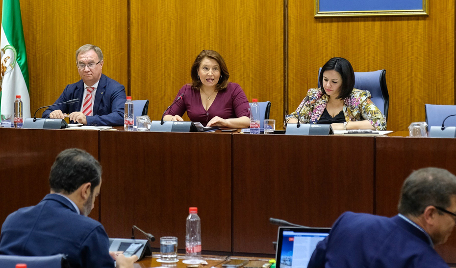 La consejera de Agricultura, Ganadería, Pesca y Desarrollo Sostenible, Carmen Crespo, en comisión parlamentaria.