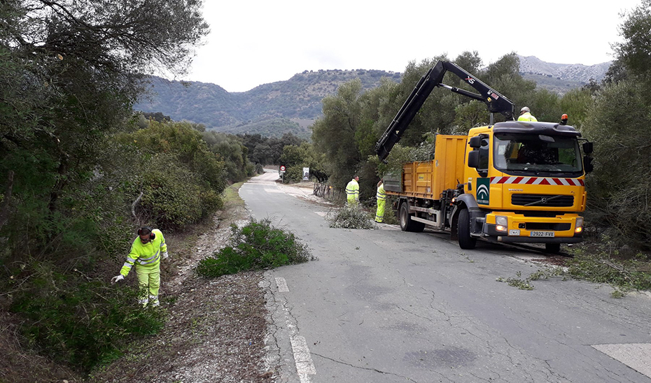 Operarios realizan tareas de desbroce en una carretera de Málaga.
