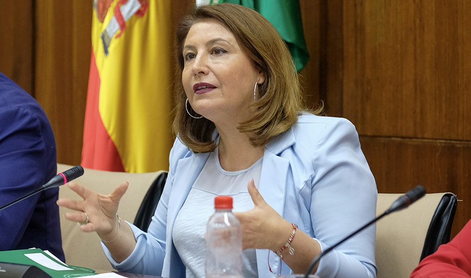 La consejera Carmen Crespo durante su comparecencia ante la comisión parlamentaria.