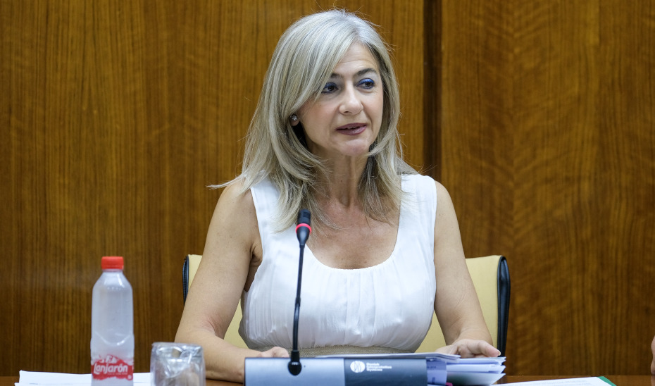 La consejera Patricia del Pozo, en comisión de Cultura y Patrimonio Histórico del Parlamento andaluz.
