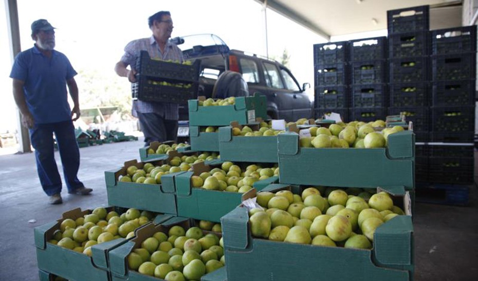 Las ayudas se destinarán a productores de frutas y hortalizas.