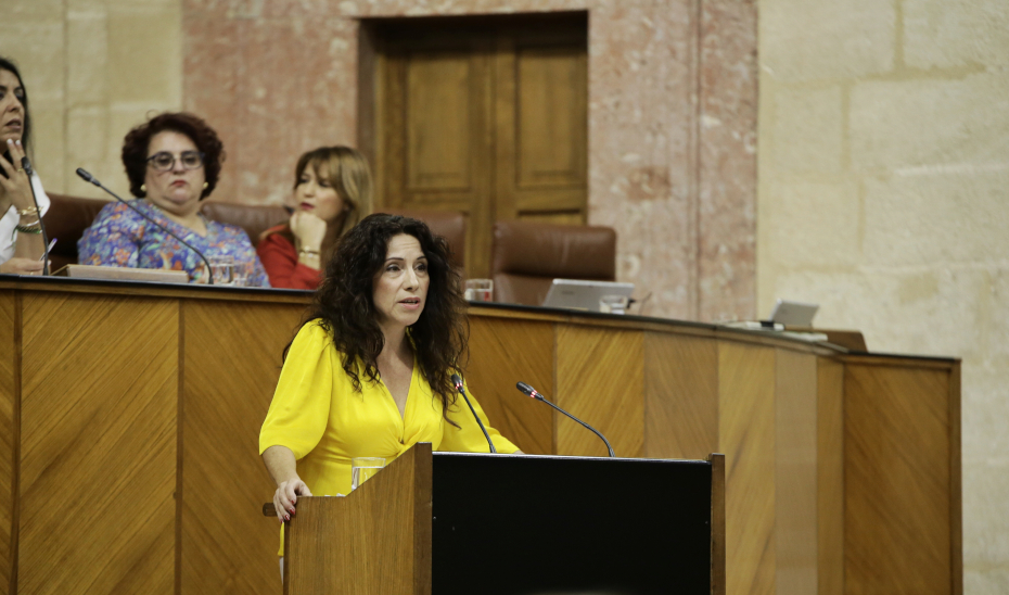 La consejera de Igualdad, Políticas Sociales y Conciliación, Rocío Ruiz, en el Parlamento andaluz.