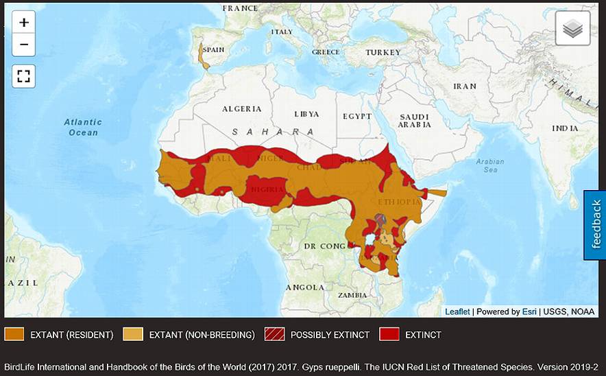 Mapa de distribución de los ejemplares de buitres leonados que existen en el mundo.