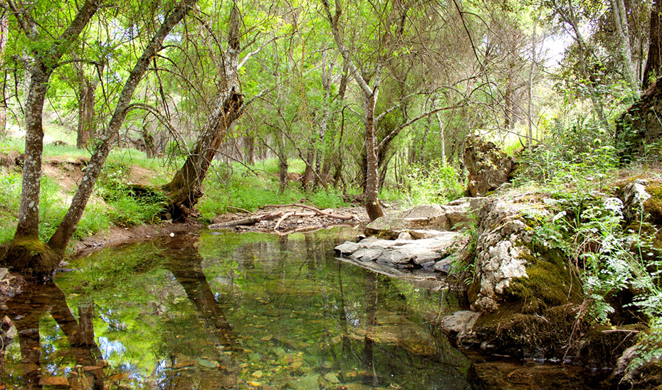 Nacimiento del río Guadalquivir en la sierra jiennense de Cazorla.
