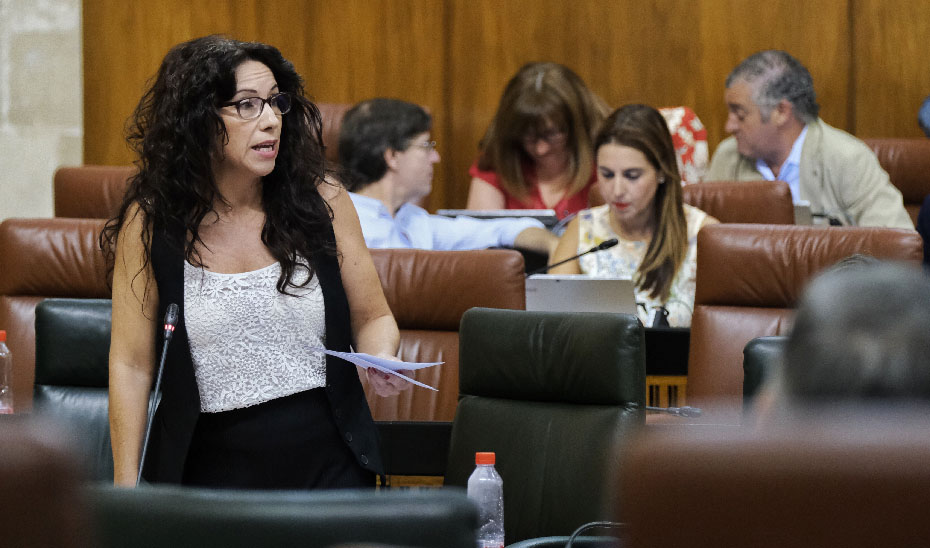 La consejera de Igualdad informó en el Parlamento sobre los abandonos voluntarios de MENA.