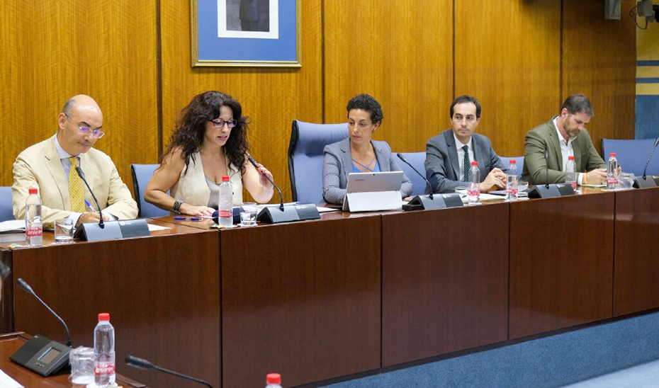 La consejera Rocío Ruiz durante la Comisión de la Infancia celebrada en el Parlamento de Andalucía.