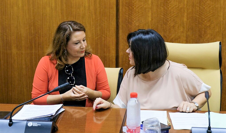 La consejera Carmen Crespo, durante su comparecencia en el Parlamento.
