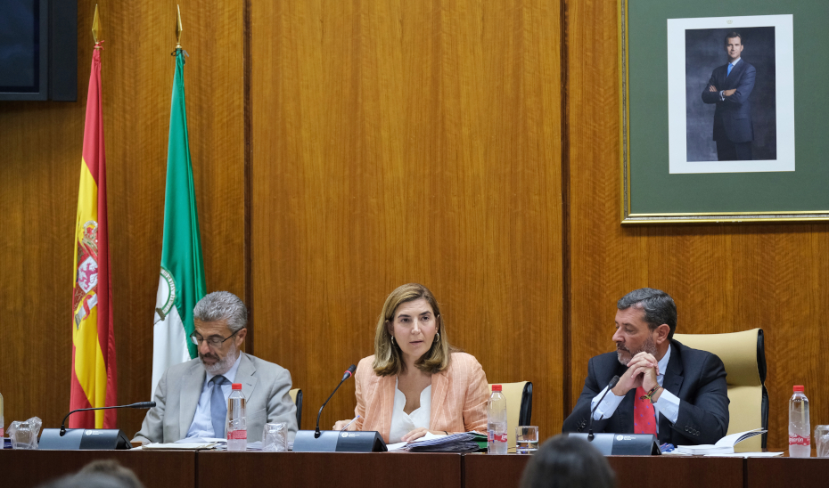 La consejera Rocío Blanco comparece en comisión parlamentaria.