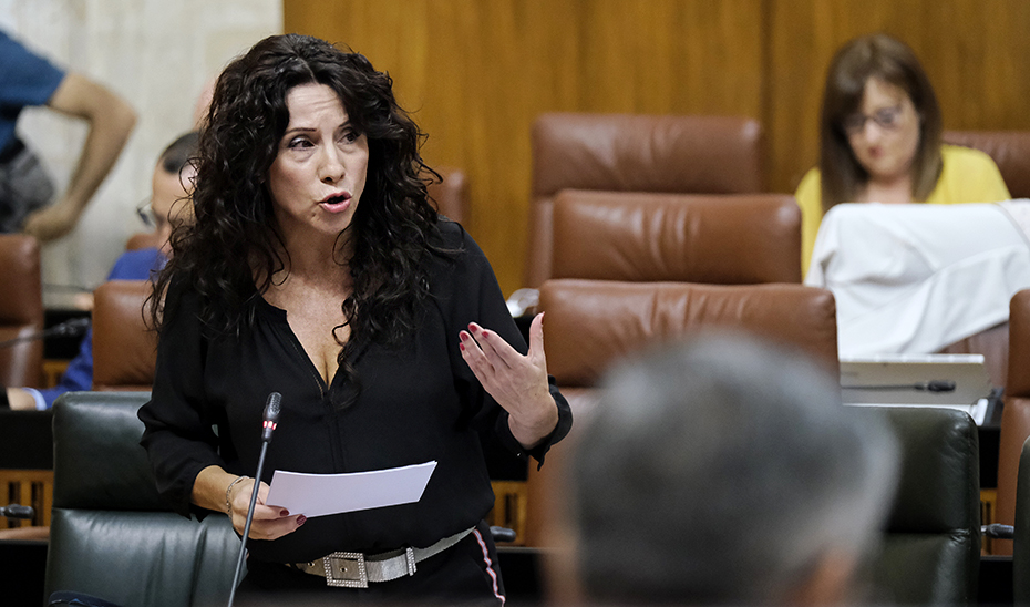 La consejera Rocío Ruiz responde desde su escaño a las preguntas de la oposición.