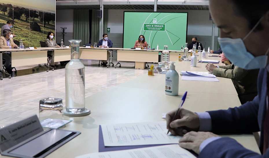 La consejera Carmen Crespo presidiendo la reunión con representantes del sector arrocero.