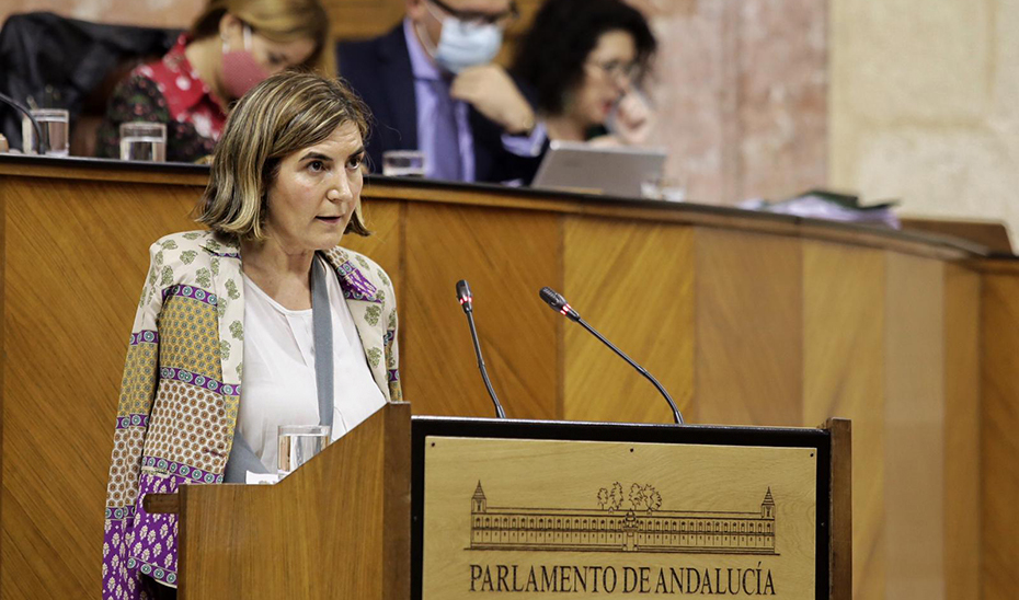 La consejera de Empleo, Rocío Blanco, se dirige desde la tribuna al Pleno del Parlamento.