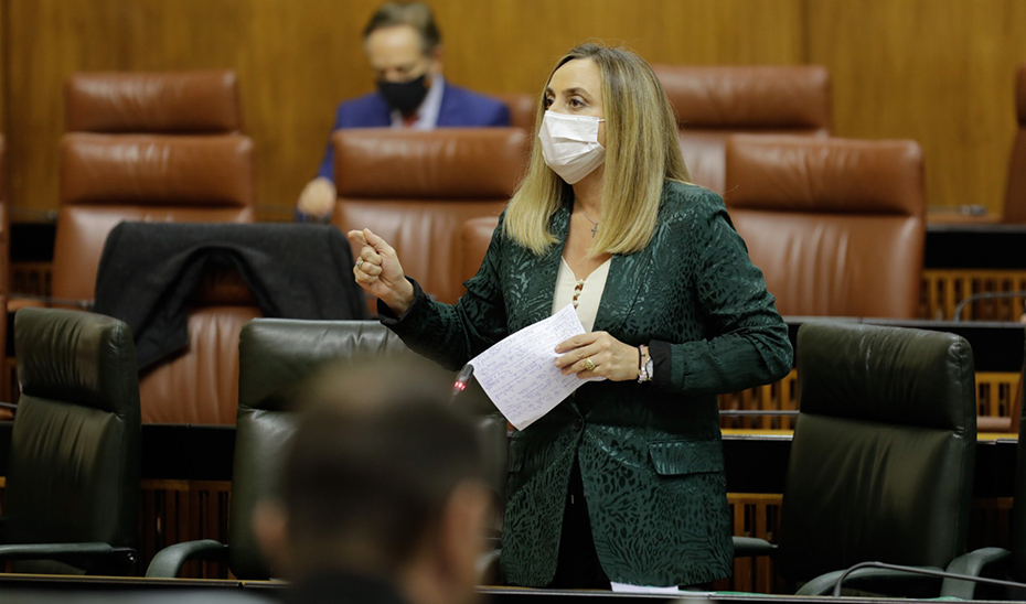 La consejera Marifrán Carazo responde desde su escaño a las preguntas de los grupos parlamentarios.