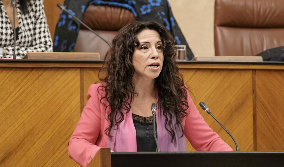 La consejera de Igualdad, Políticas Sociales y Conciliación, Rocío Ruiz, en el estrado del Parlamento.