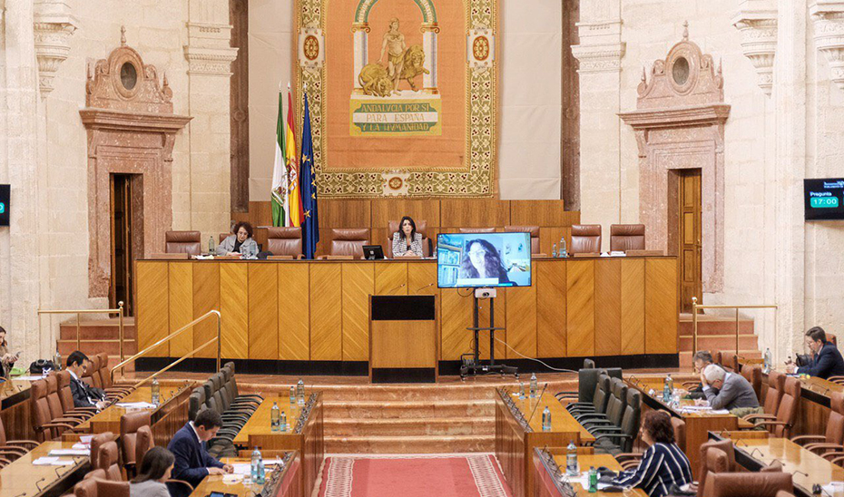 Intervención este jueves en el Parlamento andaluz a través de videoconferencia de la consejera de Igualdad, Rocío Ruiz.