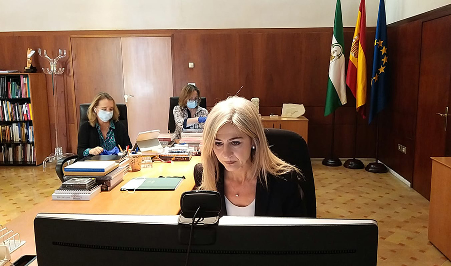 Patricia del Pozo, en un momento de la reunión telemática con el sector editorial andaluz.