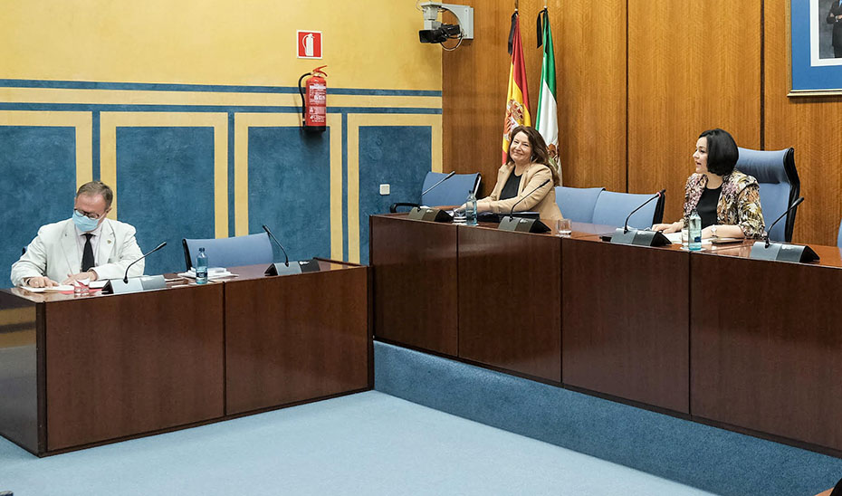 La consejera Carmen Crespo, durante su comparecencia ante la comisión parlamentaria.