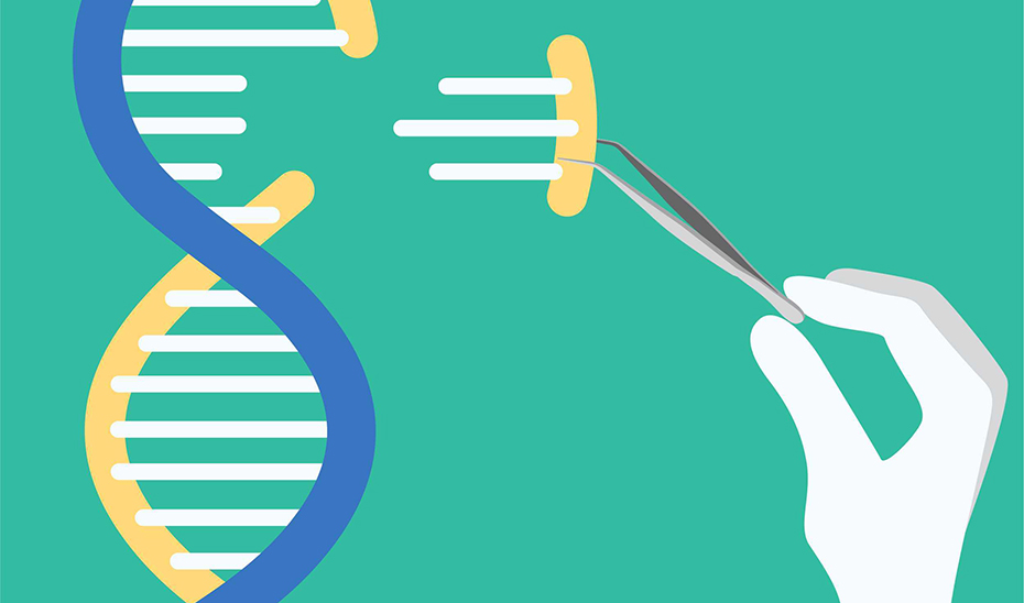 Ilustración sobre la técnica de la edición genómica en la que está trabajando el equipo investigador granadino.