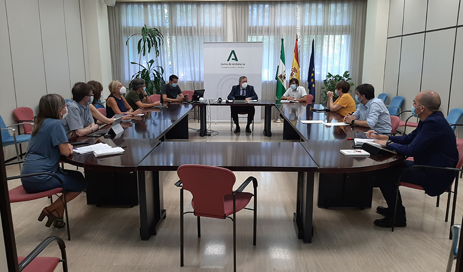 Reunión de los oncológos que fijarán las bases del Plan Estratégico Contra el Cáncer de Andalucía 2021-2025.