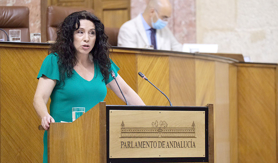 La consejera Rocío Ruiz, durante su intervención en la sesión plenaria de este jueves.