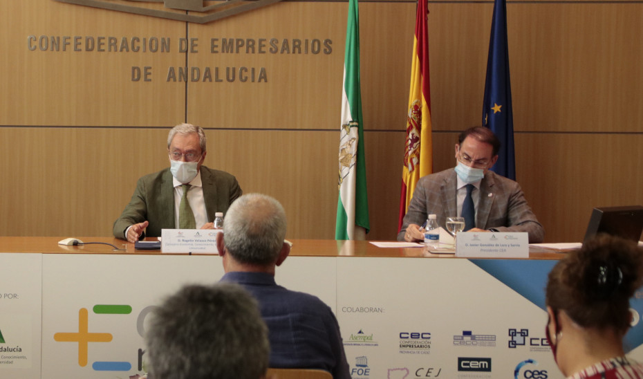 El consejero Rogelio Velasco y el presidente de la CEA, Javier González Lara, en la presentación del barómetro \u0027La empresa andaluza ante la crisis del Covid-19\u0027.