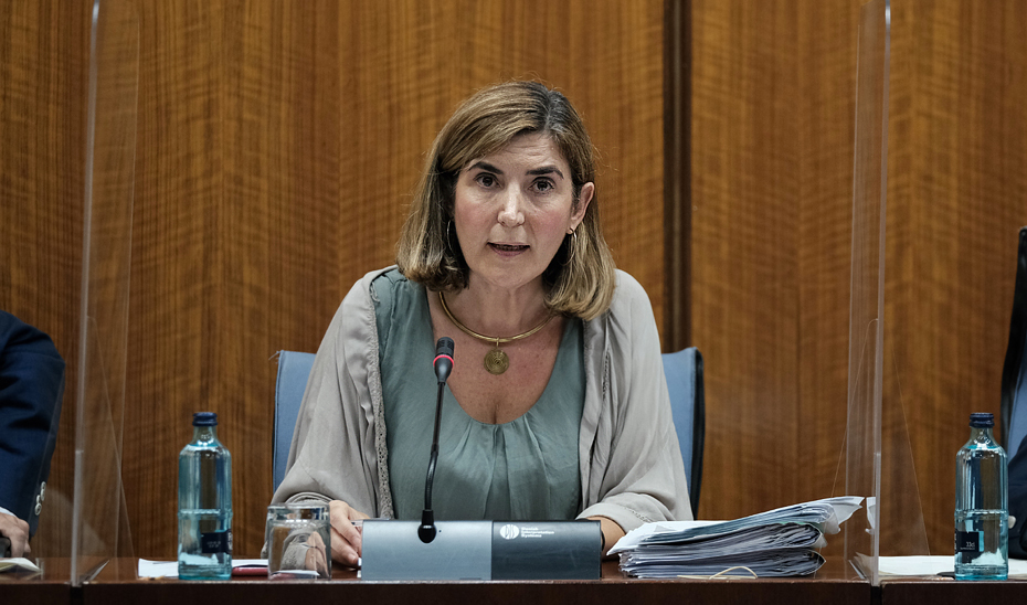 La consejera Rocío Blanco interviene en comisión parlamentaria.