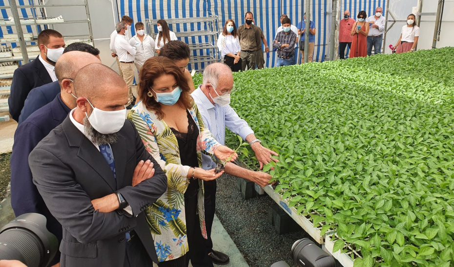 La consejera Carmen Crespo visita la nueva planta de Cristalplant en El Ejido, Almería.
