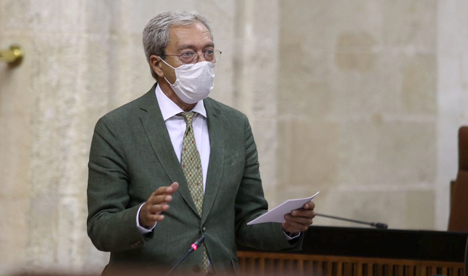 El consejero Rogelio Velasco, durante la sesión de control en el Parlamento.