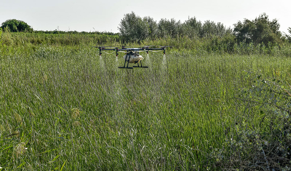 Un dron en plenas tareas de fumigación en áreas afectadas por el virus de la fiebre del Nilo.
