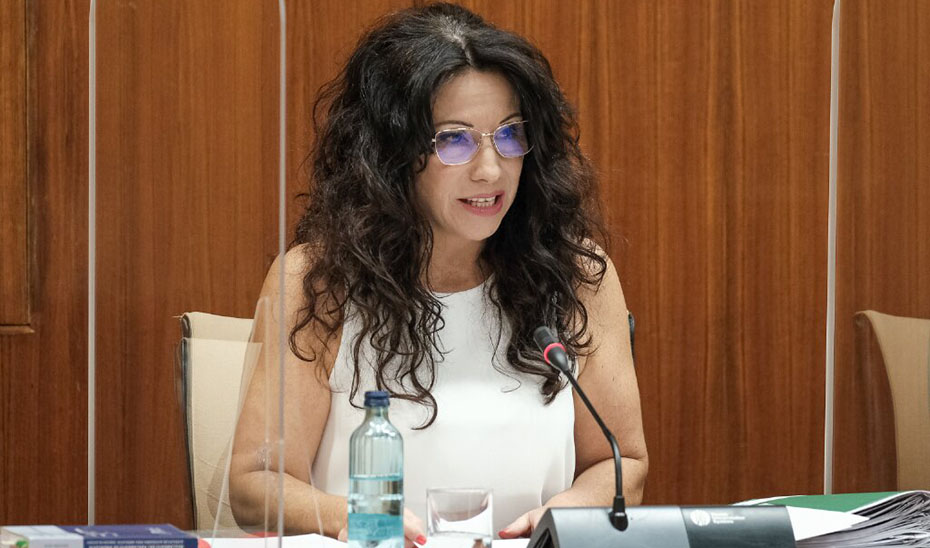La consejera Rocío Ruiz en un momento de la comisión parlamentaria.