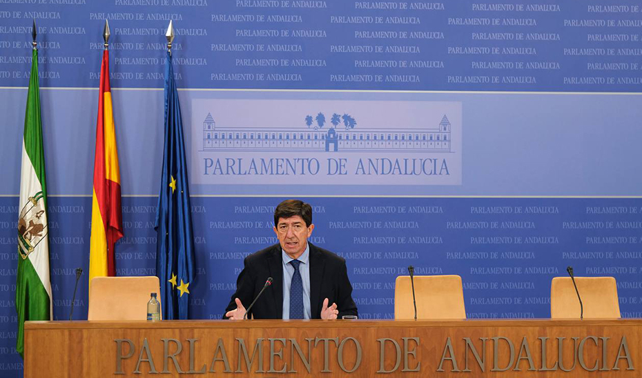 El vicepresidente de la Junta, durante su comparecencia informativa en el Parlamento.