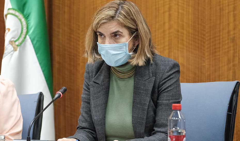 La consejera de Empleo, Rocío Blanco, durante su intervención en la comisión parlamentaria.