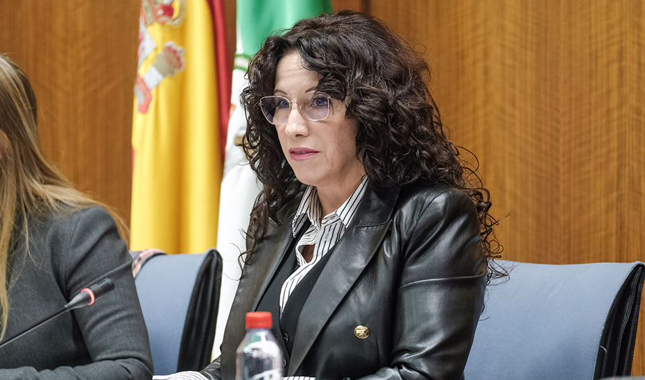 La consejera de Igualdad, Políticas Sociales y Conciliación, Rocío Ruiz, durante la comisión parlamentaria.