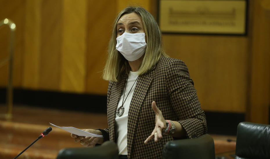 La consejera de Fomento, Marifrán Carazo, durante la sesión de control en el Parlamento.
