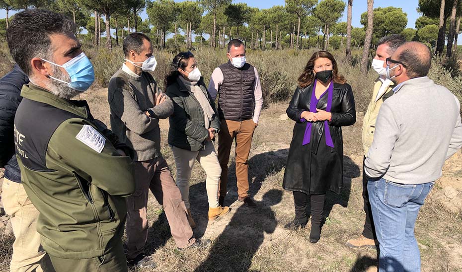 La consejera Carmen Crespo durante su visita a una de las zonas en proceso de reforestación del incendio de las Peñuelas en Doñana.