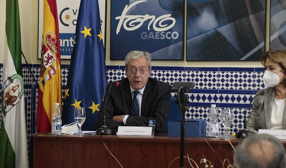 El consejero Rogelio Velasco, durante su intervención en el Foro Gaesco.