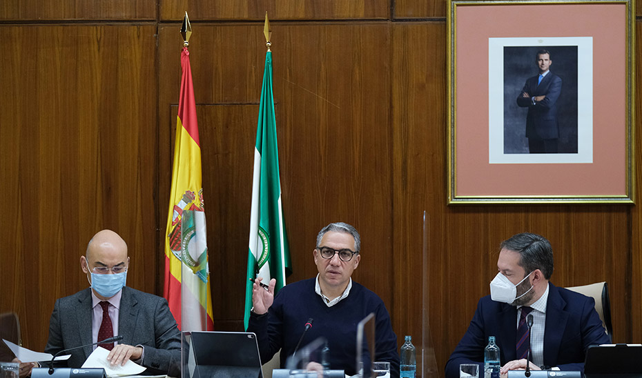 Elías Bendodo, durante su comparecencia en la Comisión de Presidencia, Administración Pública e Interior del Parlamento andaluz.