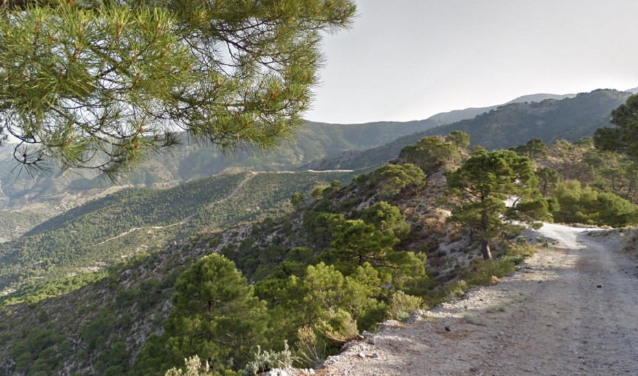 Imagen de archivo de un sendero en la zona de Cómpeta. 