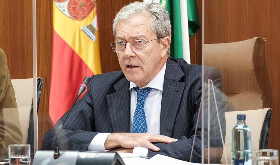 El consejero de Transformación Económica, Rogelio Velasco, durante al comisión parlamentaria.