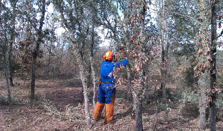 Un trabajador realiza tareas de mantenimiento de un espacio forestal.